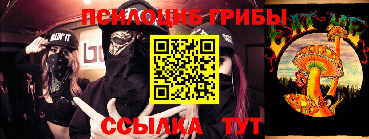 Галлюциногенные грибы Cubensis  Псилоцибиновые грибы MAGIC MUSHROOMS  Коммунар  Вход с VPN 