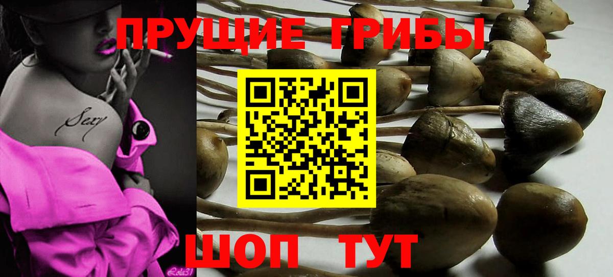 Галлюциногенные грибы ЛСД Коммунар